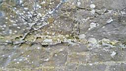 acastle 105830.jpg